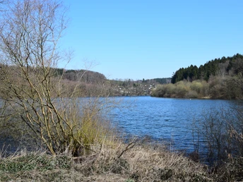 Brucher Talsperre Ein ruhiger See von Bäumen umgeben, mit blauem Himmel im Hintergrund, Marienheide, Deutschland.