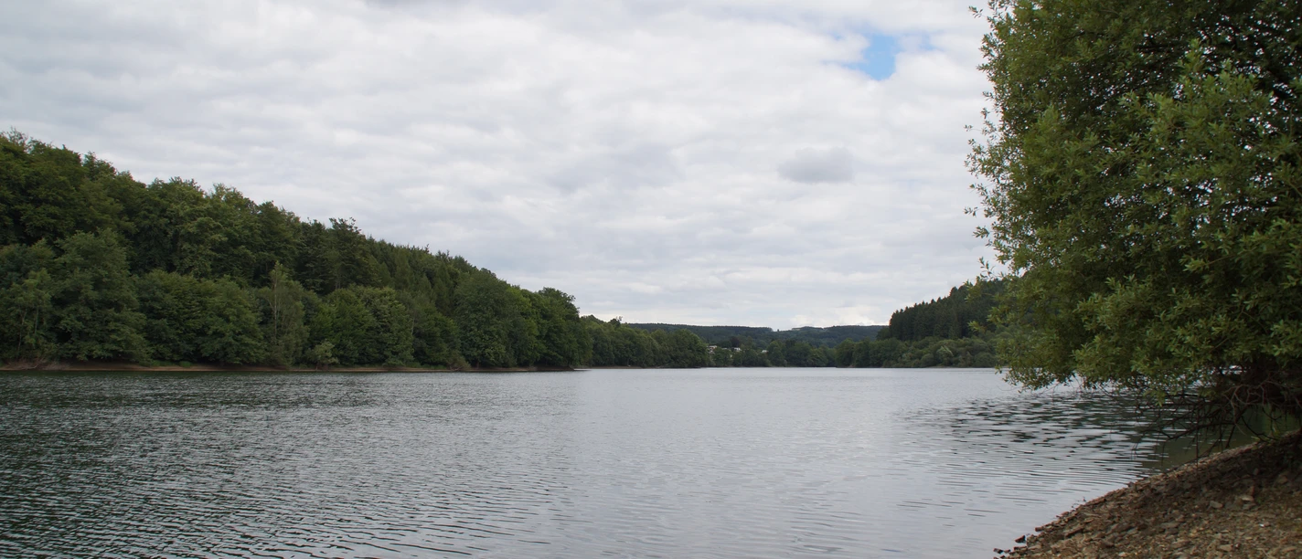 Ein ruhiger See umgeben von Wald mit bewölktem Himmel und einem Kiesstrand im Vordergrund.