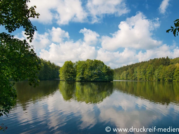 Krombacher Insel in der Wiehltalsperre Ruhiger See umsäumt von grünen Bäumen, spiegelnder blauer Himmel mit weißen Wolken am Himmel.