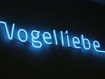 vogelliebe.jpg