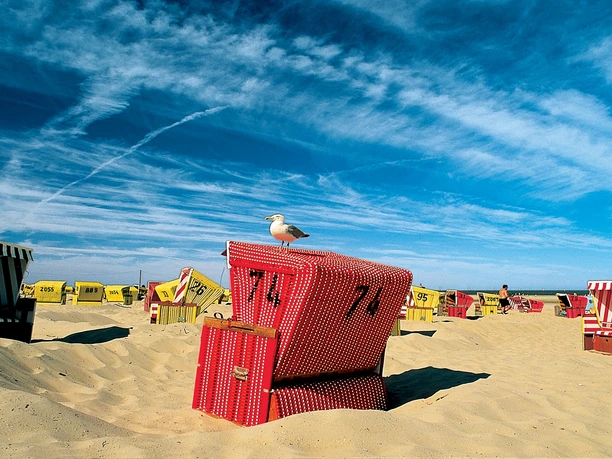 ostfriesland-pur-strandkorb-mit-möwe.jpg