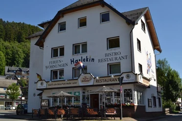 harlekin-der-fliegende-holländer-willingen.jpg