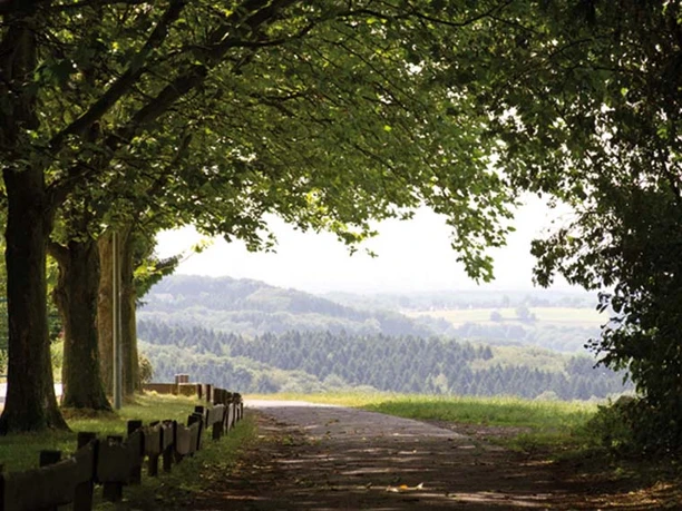 eikamp-landschaft.jpg Laubüberdachter Weg mit Blick auf hügelige, bewaldete Landschaft, umgeben von sommerlichem Grün.