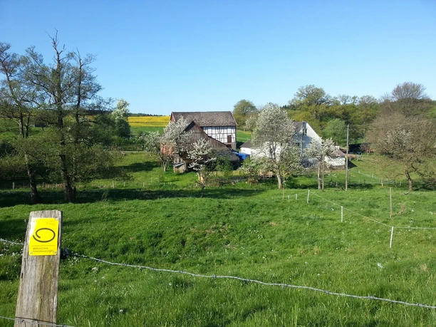 Panoramasteig-Et-4_WRO_130510_13.jpg Ein idyllischer, blühender Obstgarten umgibt Fachwerkhäuser auf einer saftig grünen Wiese.
