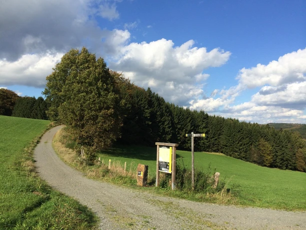 Panoramasteig-Et-4_DBO_141014_02.jpg Landschaft in Oberösterreich mit kurvigem Weg, grüner Wiese, Baum und blauem Himmel mit Wolken.