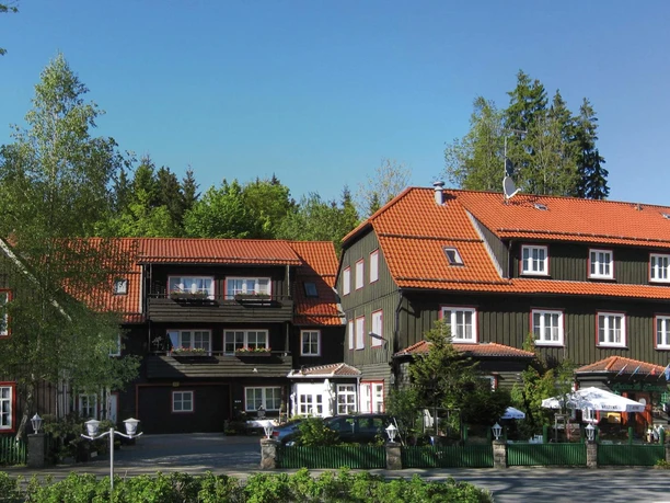 Mandelholz - Grüne Tanne Mandelholz - Grüne Tanne