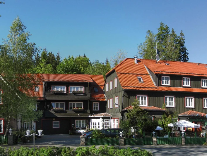 Mandelholz - Grüne Tanne Mandelholz - Grüne Tanne