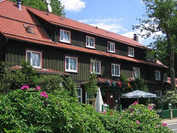 Mandelholz - Grüne Tanne Mandelholz - Grüne Tanne