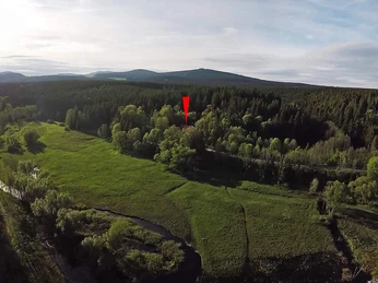 Mandelholz - Grüne Tanne Mandelholz - Grüne Tanne