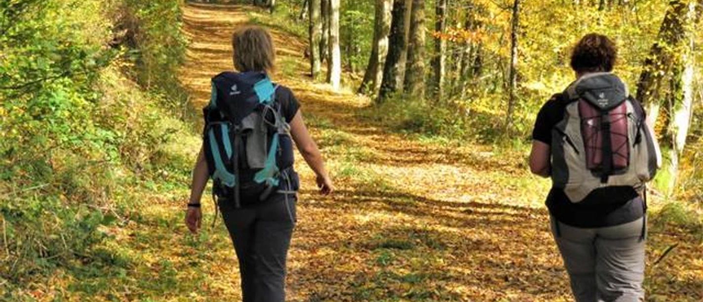 Pilgerwanderung_auf_der_Heidenstrasse_-_Pilgern_mit_Stefan_Hoene.jfif Zwei Menschen wandern auf einem herbstlichen Waldweg, umgeben von bunten Laubbäumen.