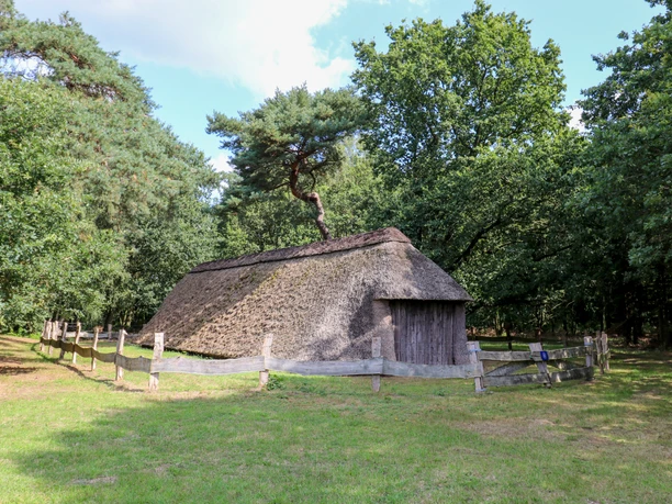 Historischer Schafstall Reetgedeckter Holzschafstall im Wald, umgeben von Holzzaun und Bäumen unter blauem Himmel.