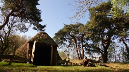 Historischer Schafstall Reetgedeckter Schafstall im Grünen, umgeben von alten Kiefern, mit sitzendem Mann im Vordergrund.