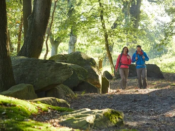 Großsteingrab Deymanns Mühle
