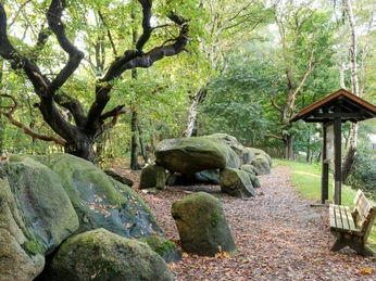 Großsteingrab auf Bruneforths Esch