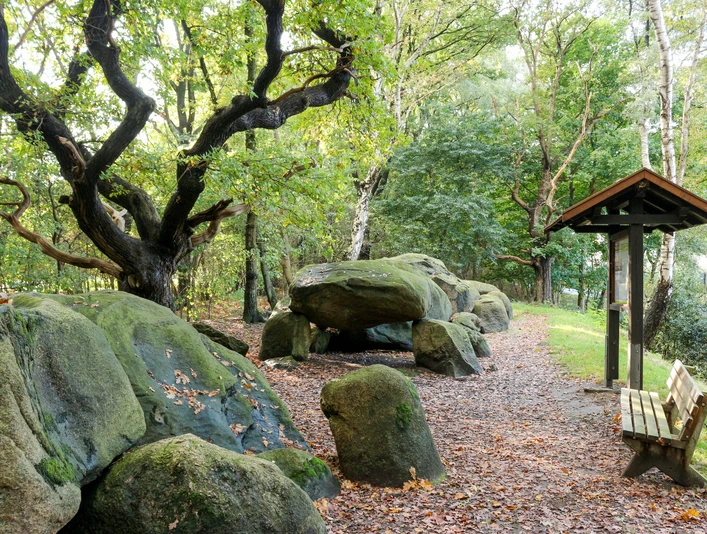 Großsteingrab auf Bruneforths Esch