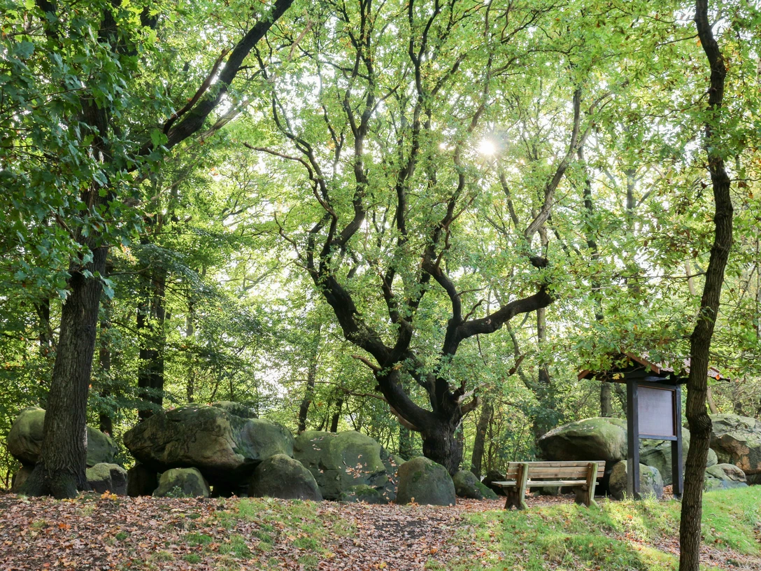 Großsteingrab auf Bruneforths Esch