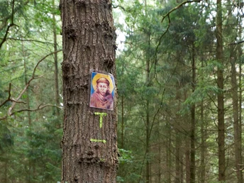 Hinweisschild am Baum