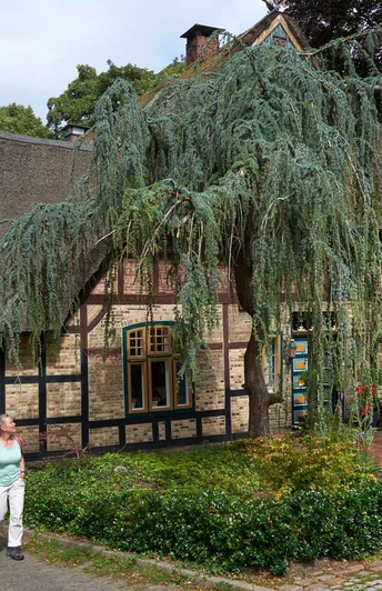 Luftkurort Burg und der Burger Wald