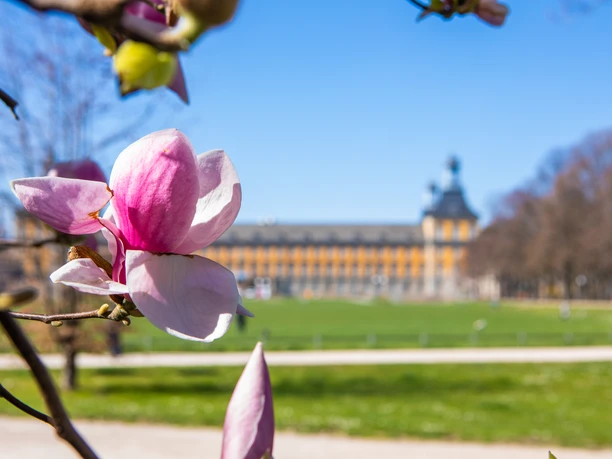 Hofgarten mit Blick auf die Universität Hofgarten mit Blick auf die Universität