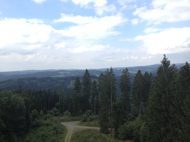 Waldlandschaft mit Nadelbäumen, sanften Hügeln und weitem Himmel unter teils bewölktem Himmel.