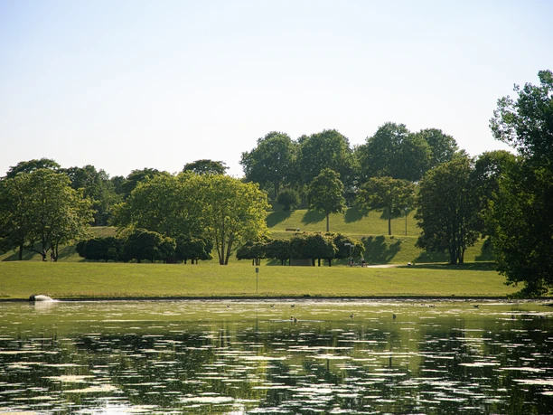 Rheinauensee Rheinauensee