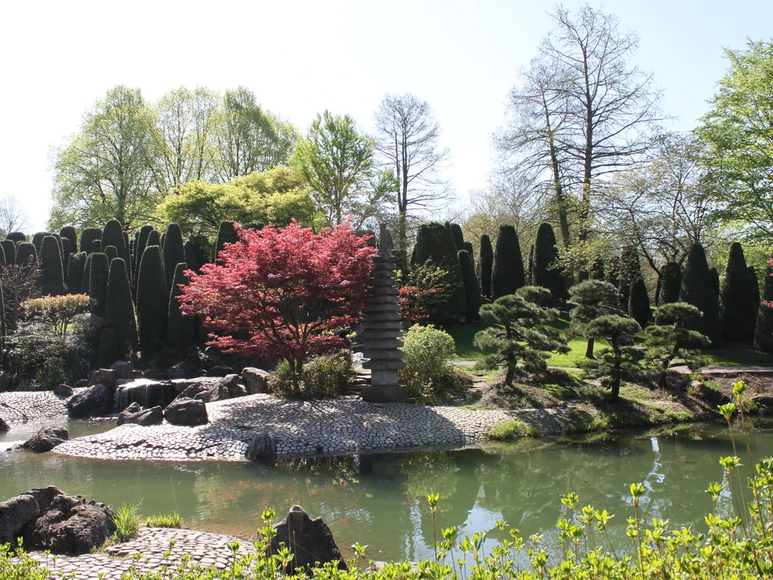 Japanischer Garten in der Rheinaue Japanischer Garten in der Rheinaue