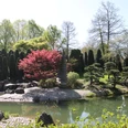 Japanischer Garten in der Rheinaue Japanischer Garten in der Rheinaue