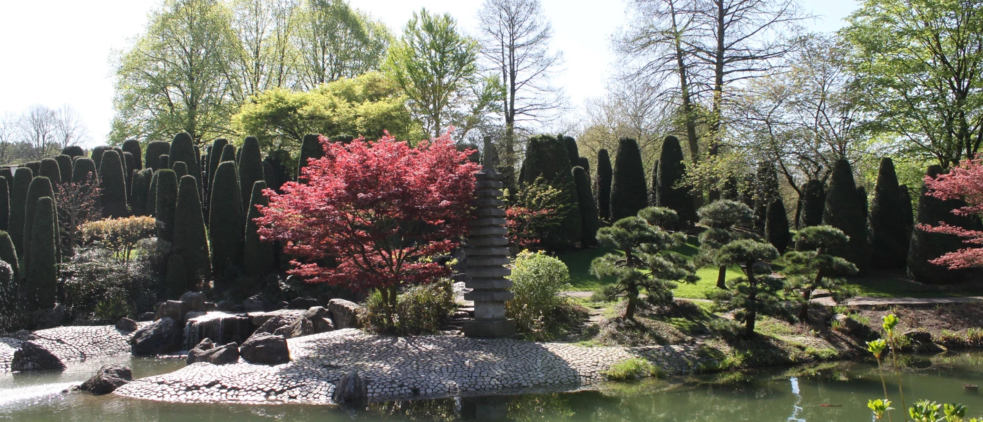 Japanischer Garten in der Rheinaue Japanischer Garten in der Rheinaue