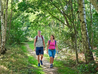 Wanderroute Mötjensee und Seeadler Zwei Wandernde auf grünem Waldpfad