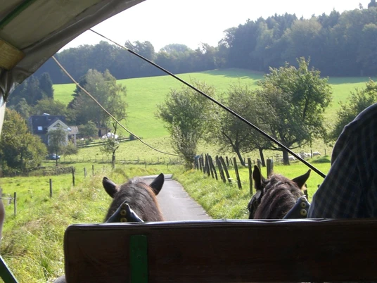 Planwagen Blick nach vorne raus Blick von einem Pferdewagen auf eine schmale Landstraße, umgeben von grünen Wiesen und Bäumen.