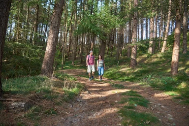 Natur pur zwischen Buchholz und Kuden Zwei Wandernde auf einem Waldweg im Sonnenlicht