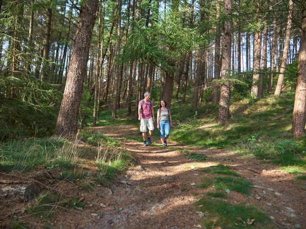 Natur pur zwischen Buchholz und Kuden