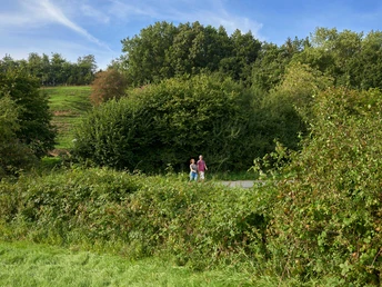 Wanderung durch die Natur