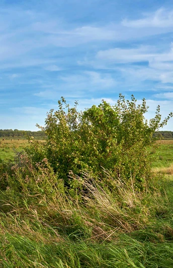 Rund um den Kudensee Rund um den Kudensee