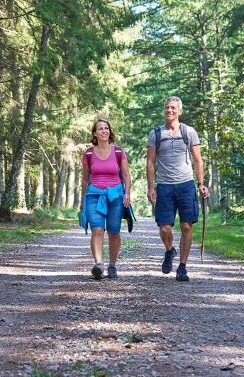 Rund um Weddingstedt