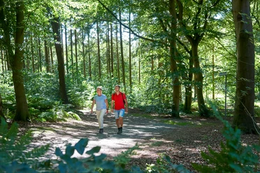 Rundwanderweg Burg-Forst Christianslust Zwei Personen wandern auf einem Waldweg im Grünen