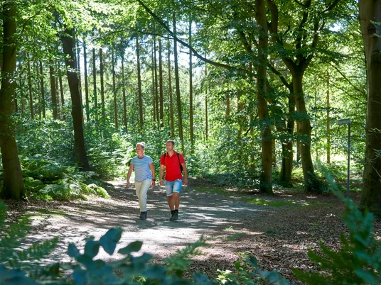 Rundwanderweg Burg-Forst Christianslust