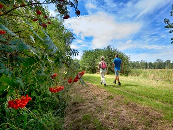 Wanderung durch die Natur
