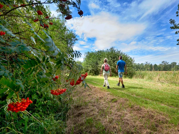 Wanderung durch die Natur