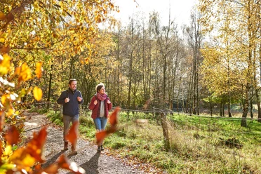 Steinzeitpark Lisbeth ehrn Diek und Gieselautal Zwei Erwachsene auf einem herbstlichen Waldweg