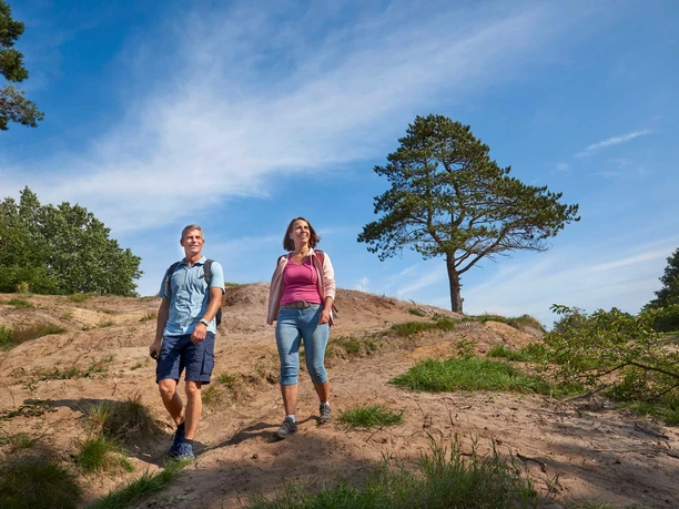 Vom Donner Kleve in die Gudendorfer Heide