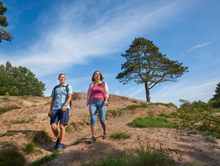 Vom Donner Kleve in die Gudendorfer Heide