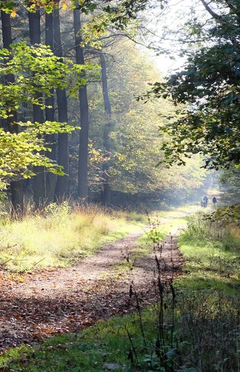 Rundwanderung im Forst Christianslust