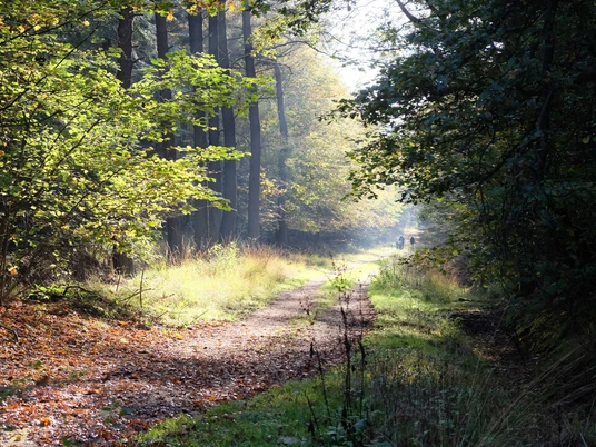 Rundwanderung im Forst Christianslust