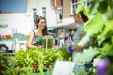 Wochenmarkt.jpg Zwei Frauen im Gespräch an einem Kräuterstand auf dem Wochenmarkt in der Meppener Innenstadt