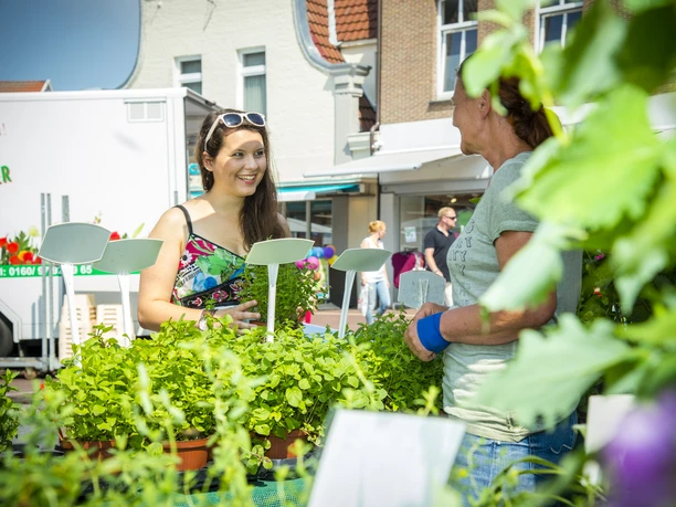 Wochenmarkt.jpg Zwei Frauen im Gespräch an einem Kräuterstand auf dem Wochenmarkt in der Meppener Innenstadt