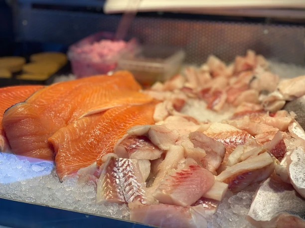 Fisch 3.jpg
