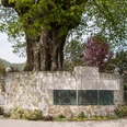 Kriegerdenkmal Kriegerdenkmal mit beeindruckendem Baum in Steinmauer, umgeben von Treppe und blühenden Pflanzen.