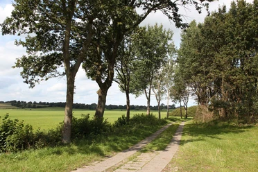 Feld-und-Flur-Runde