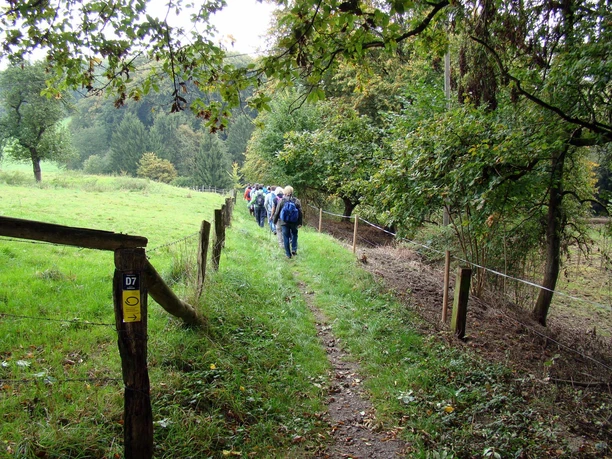 Bergischer Panoramasteig Gruppe von Wanderern auf schmalem Pfad durch grünes, ländliches Gebiet, umgeben von Bäumen und Wiesen.